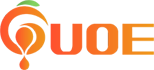 上海果弈信息技术有限公司